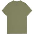 BBB 48684 verde.jpg